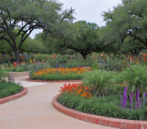 Texas Discovery Gardens