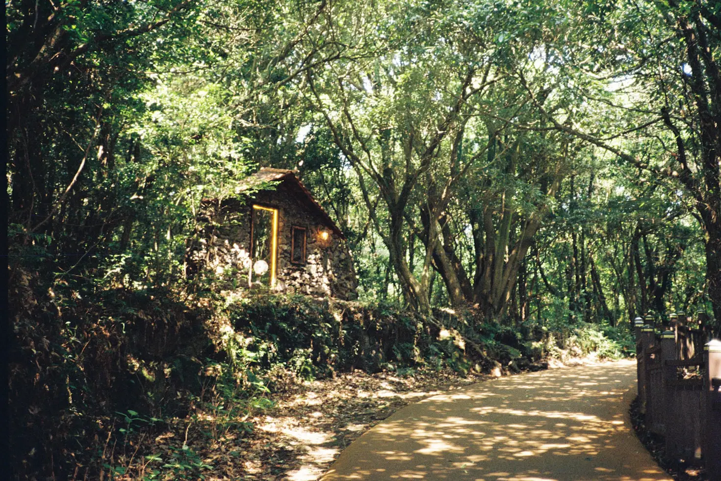 How Much Does Home Garden Cost MGAPGreenhouse?