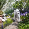 How to Keep Dogs Out of Flower Beds and Gardens