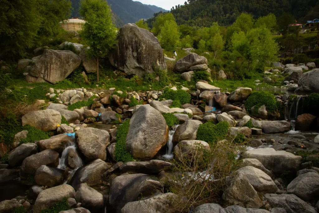 How to Make a Rock Garden