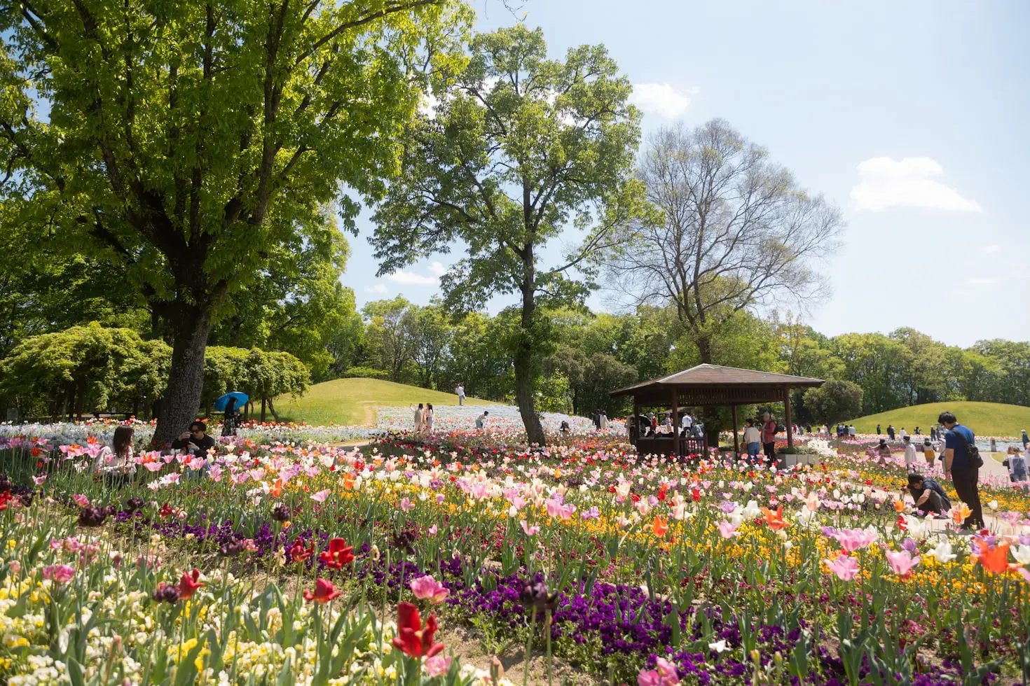 Is Bozeman Spring Show Same as Home and Garden Show?