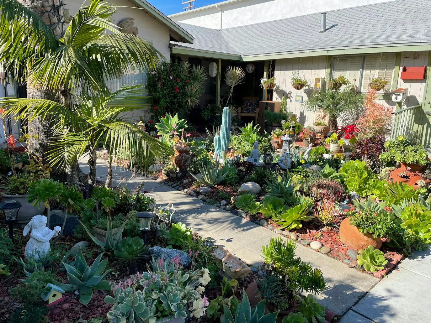 What Garden Zone Is San Diego