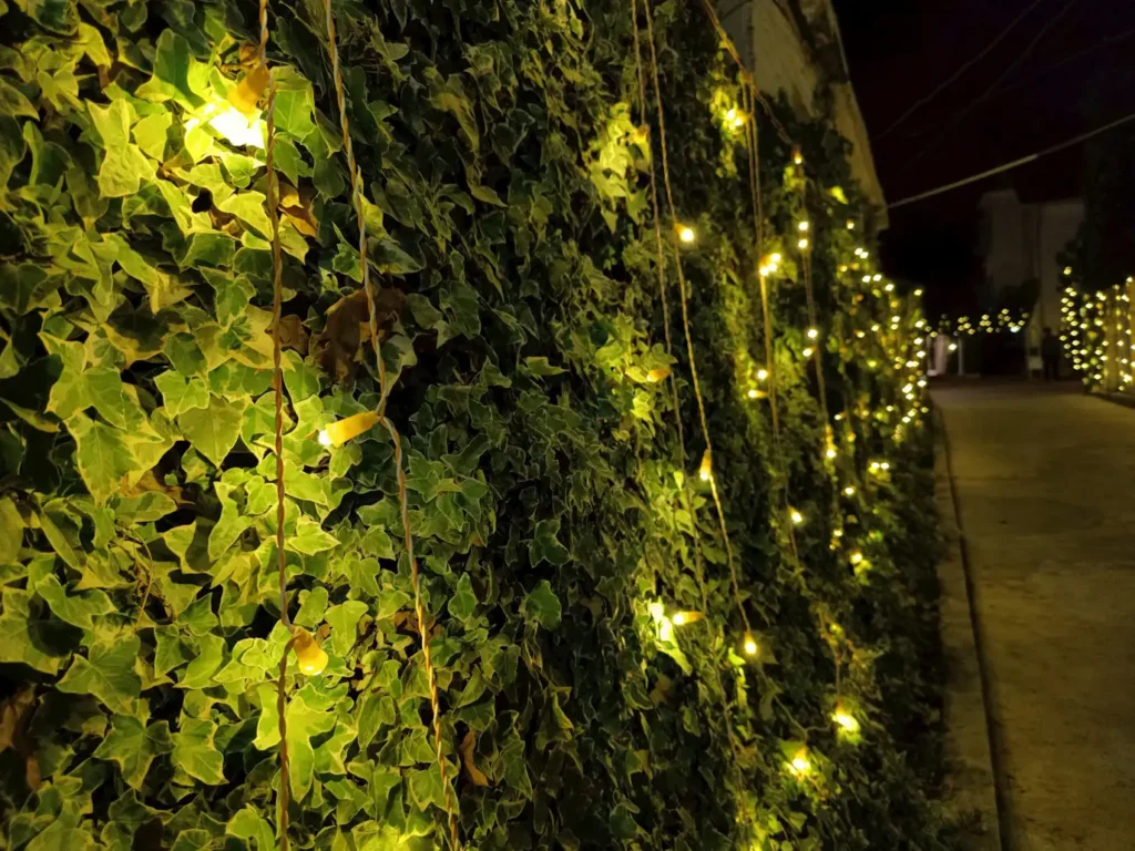 Why Do Solar Garden Lights Not Last Long