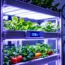 A vertical hydroponic system with programmable timer showing a 16-hour light cycle for optimal leafy green growth.