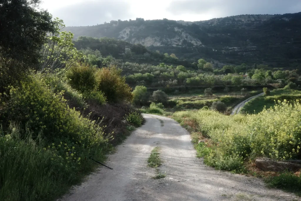 Does Olive Garden Have a Happy Hour?
