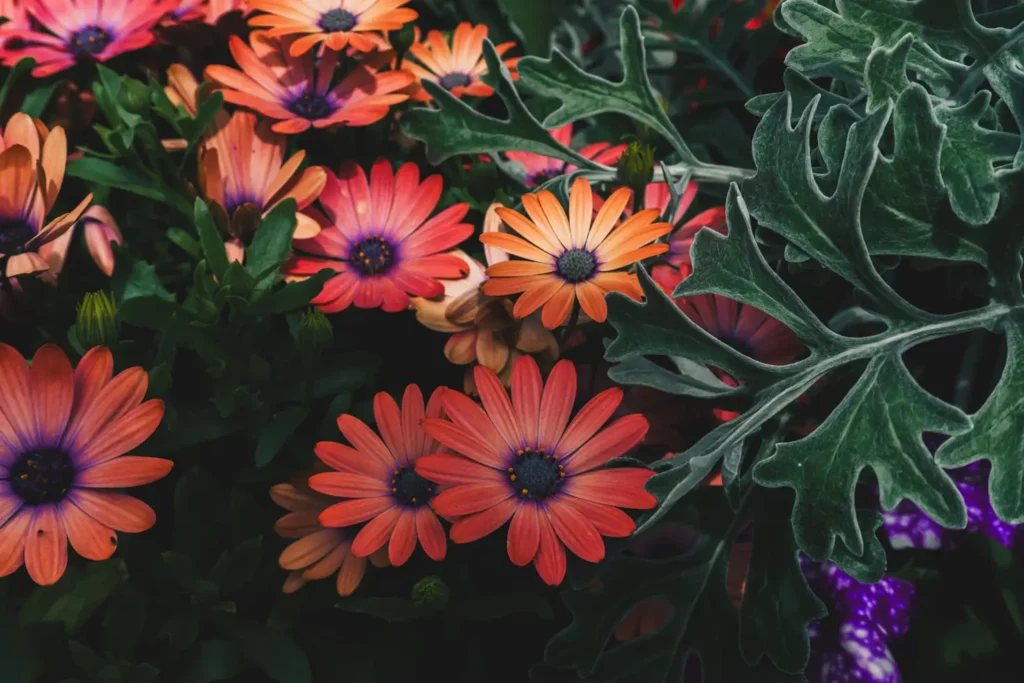 Garden of the Flowers