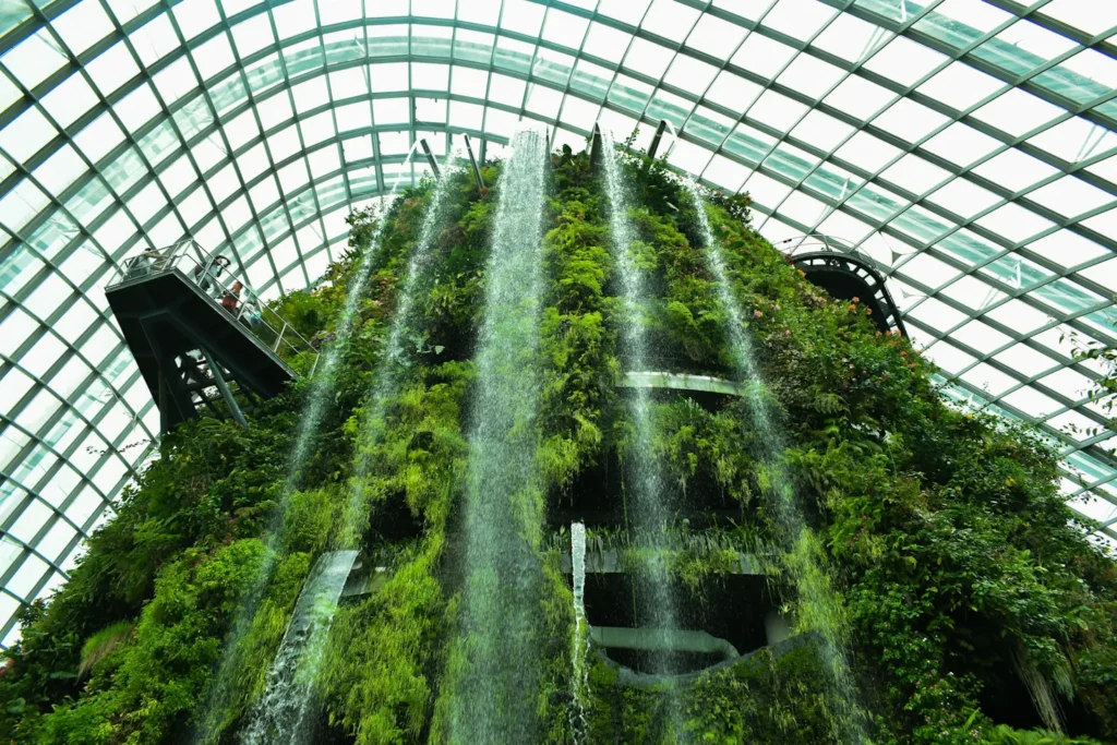 What Is a Closed Hydroponic System