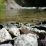 Where to Buy River Rocks