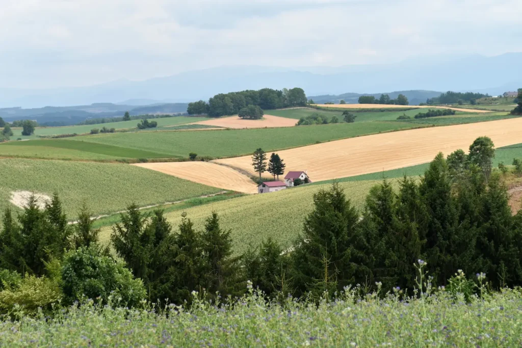 Biodynamic Farm Stays in France