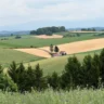 Biodynamic Farm Stays in France
