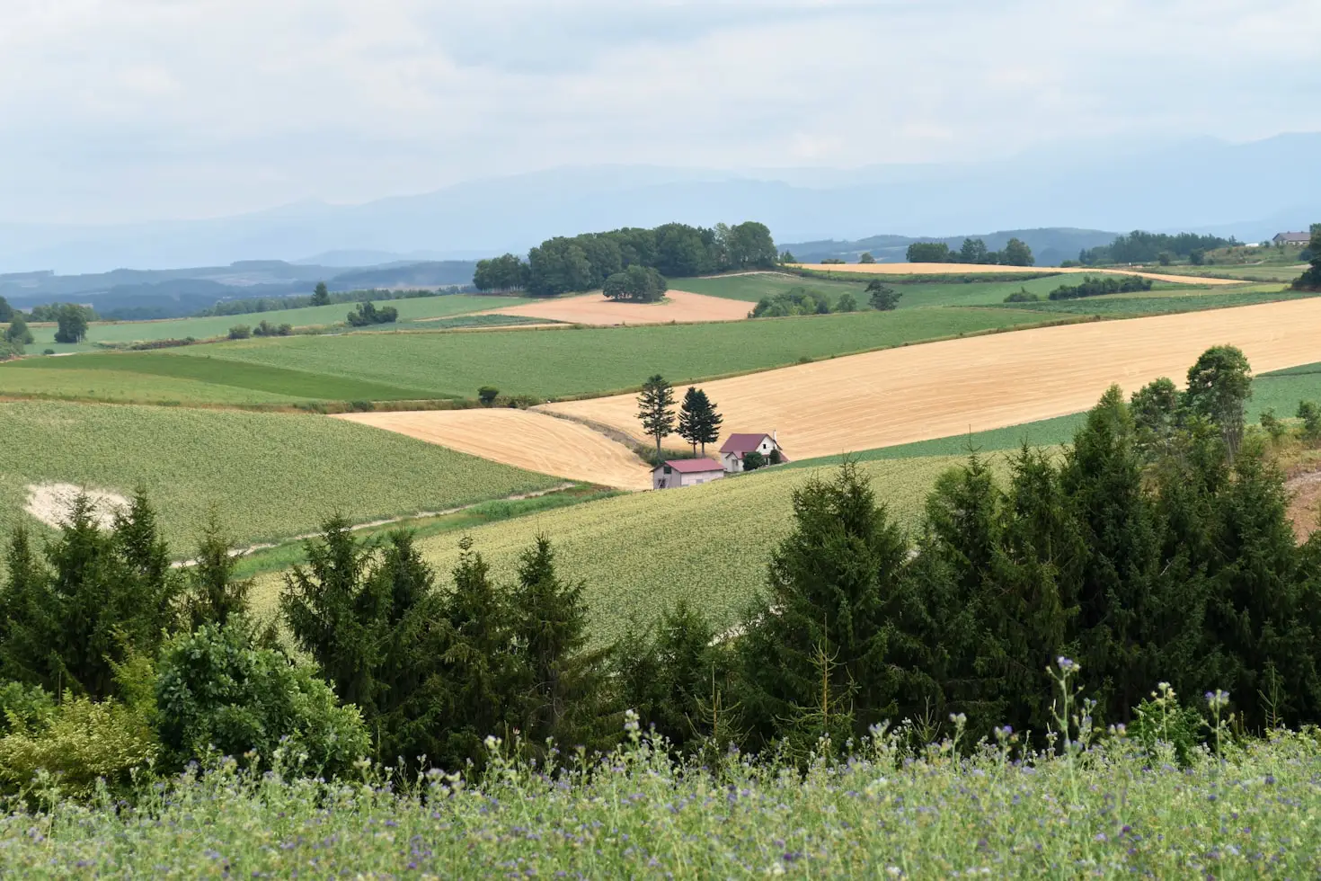 Biodynamic Farm Stays in France