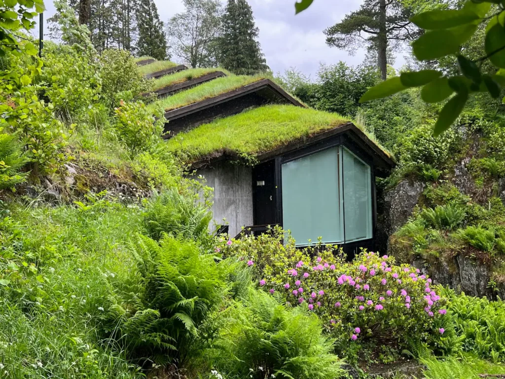 DIY green roof Portland