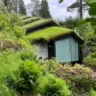 DIY green roof Portland