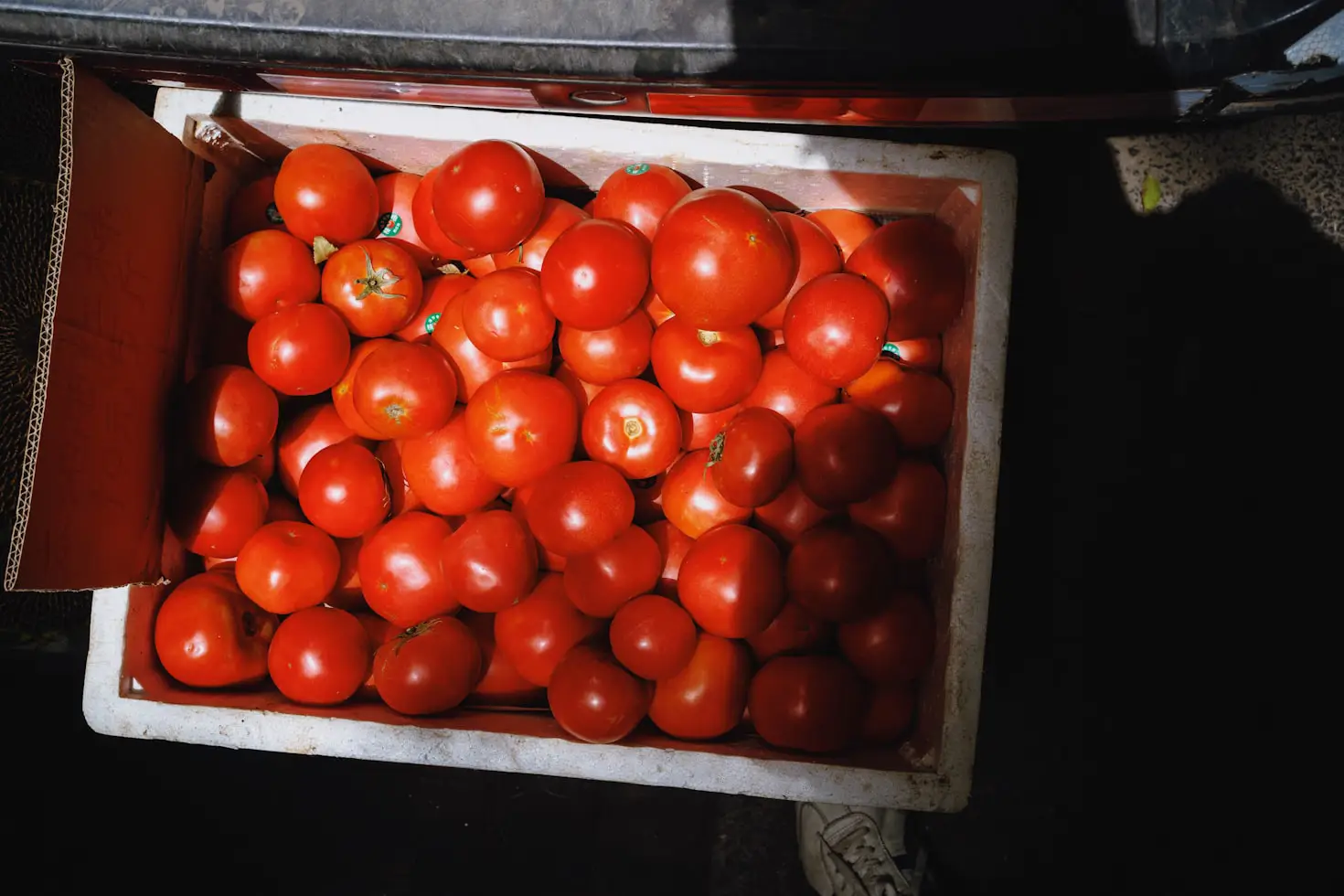 How to Grow Tomatoes in a Raised Bed