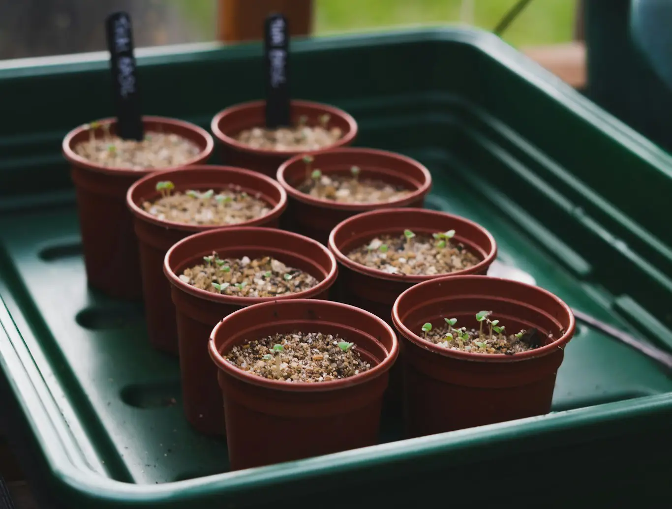 Outside Herb Planters