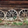 plant caddies with wheels