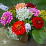 Best Flowers to Grow in Containers
