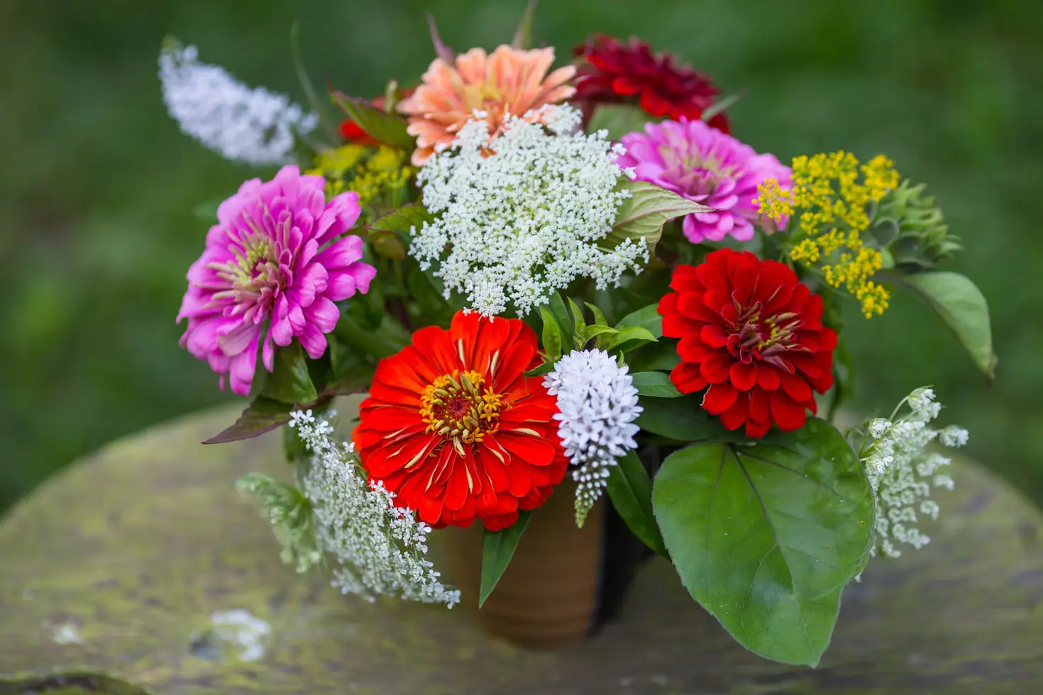 Best Flowers to Grow in Containers