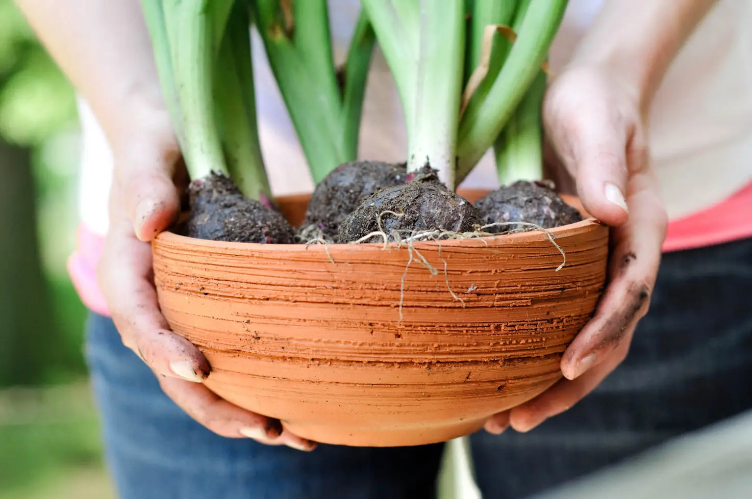 Best Potting Soil for Container Vegetables