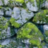 How Much Do Landscaping Rocks Cost in 2025