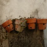 How to Get Water to a Plant Bed Rust