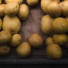 How to Grow Potatoes in Raised Beds