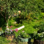 How to Keep Mice Away from Your Garden