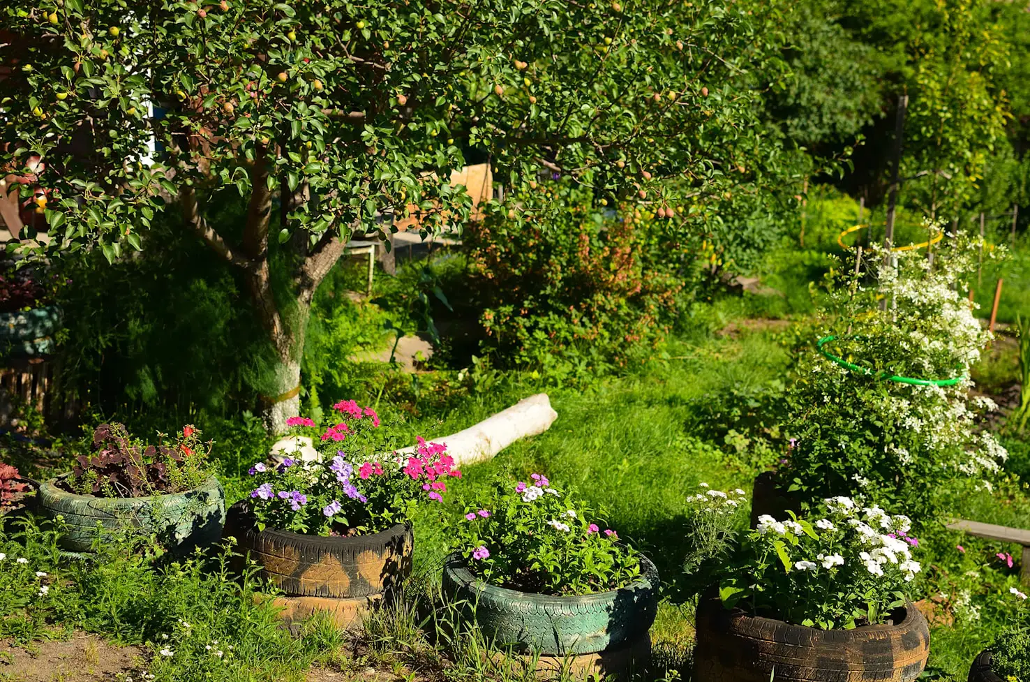 How to Keep Mice Away from Your Garden