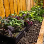 How to Make Raised Garden Beds from Pallets