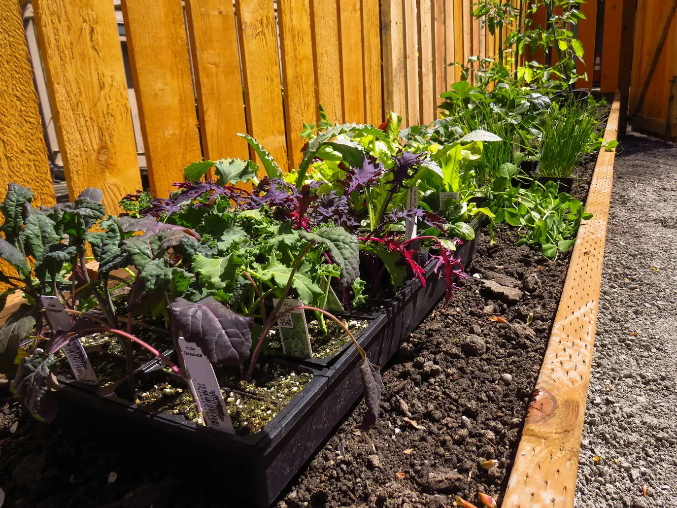 How to Make Raised Garden Beds from Pallets