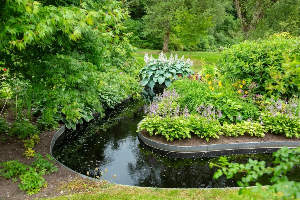 How to Make a Bog Garden