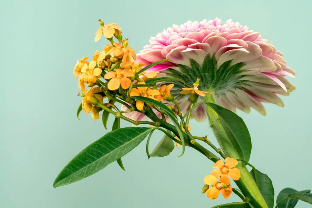 Low-Maintenance Flowers That Bloom All Year
