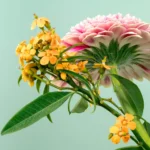 Low-Maintenance Flowers That Bloom All Year