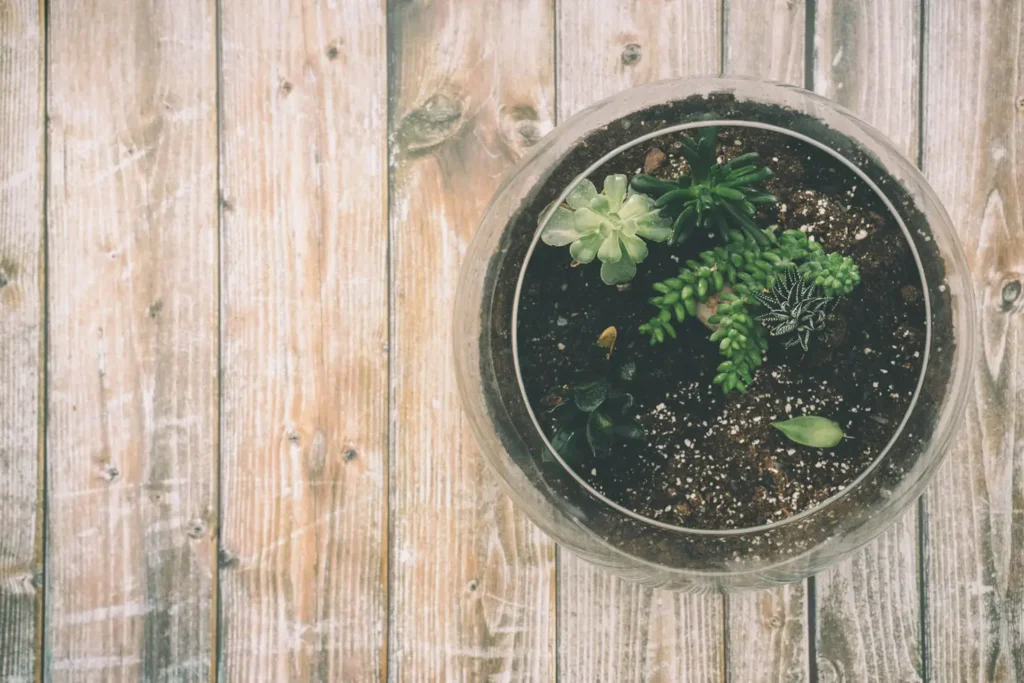 What Herbs Can I Plant Together in a Pot