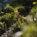 What to Plant in a Small Garden Bed