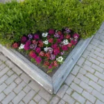 When to Plant a Garden in Alabama