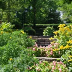When to Plant a Garden in Kentucky