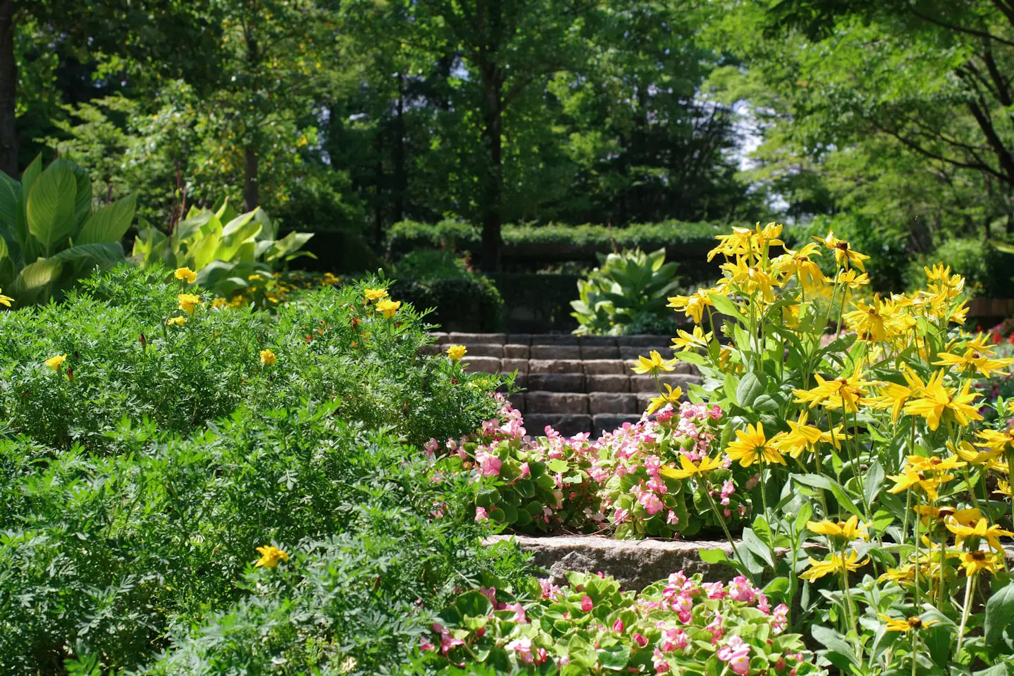 When to Plant a Garden in Kentucky
