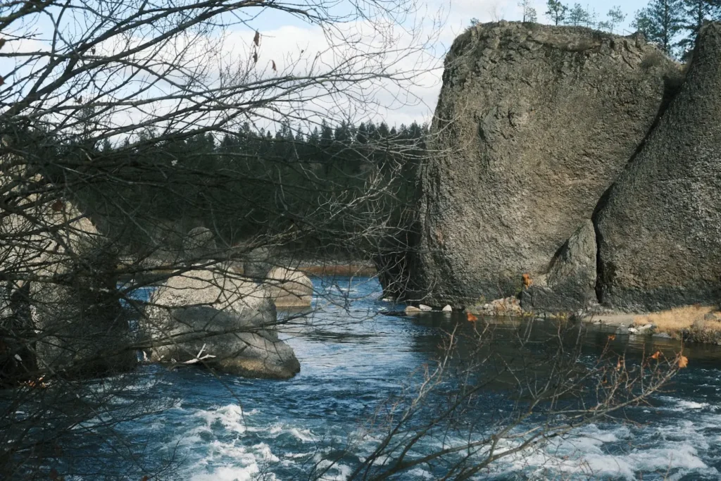 Where to Buy River Rock in Bulk