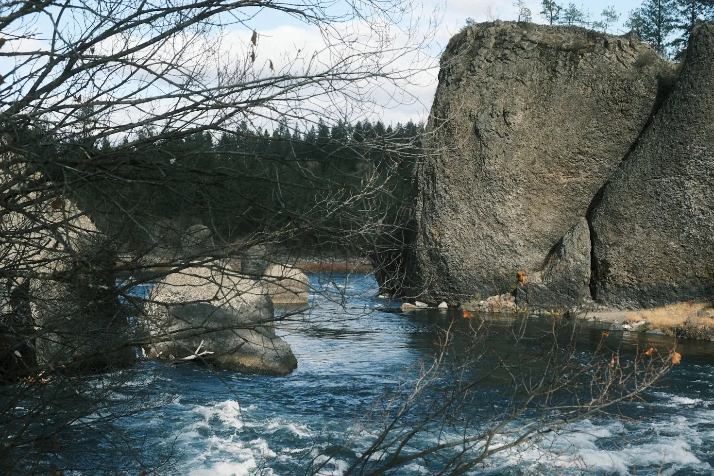 Where to Buy River Rock in Bulk