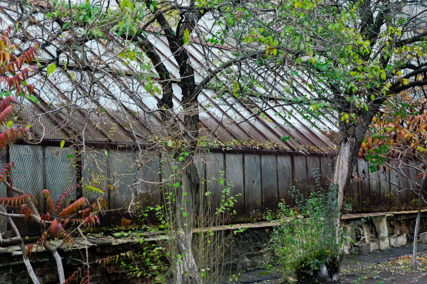 Gable Roof Garden Shed