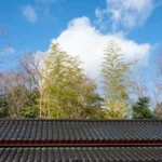Pleasant Garden Roof Repair