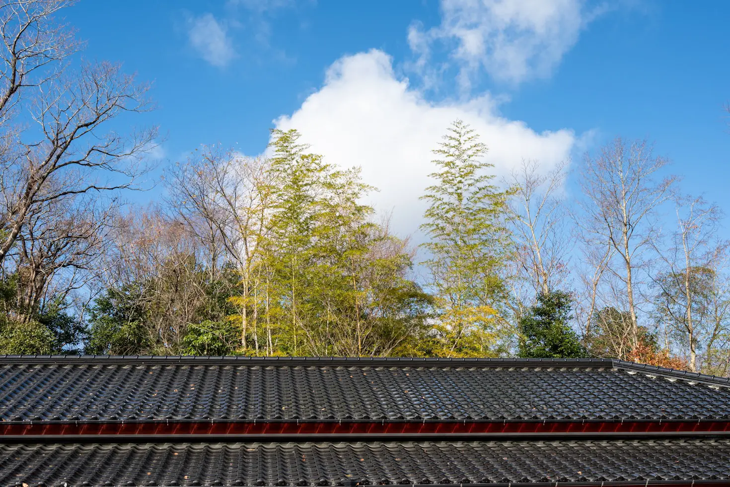 Pleasant Garden Roof Repair