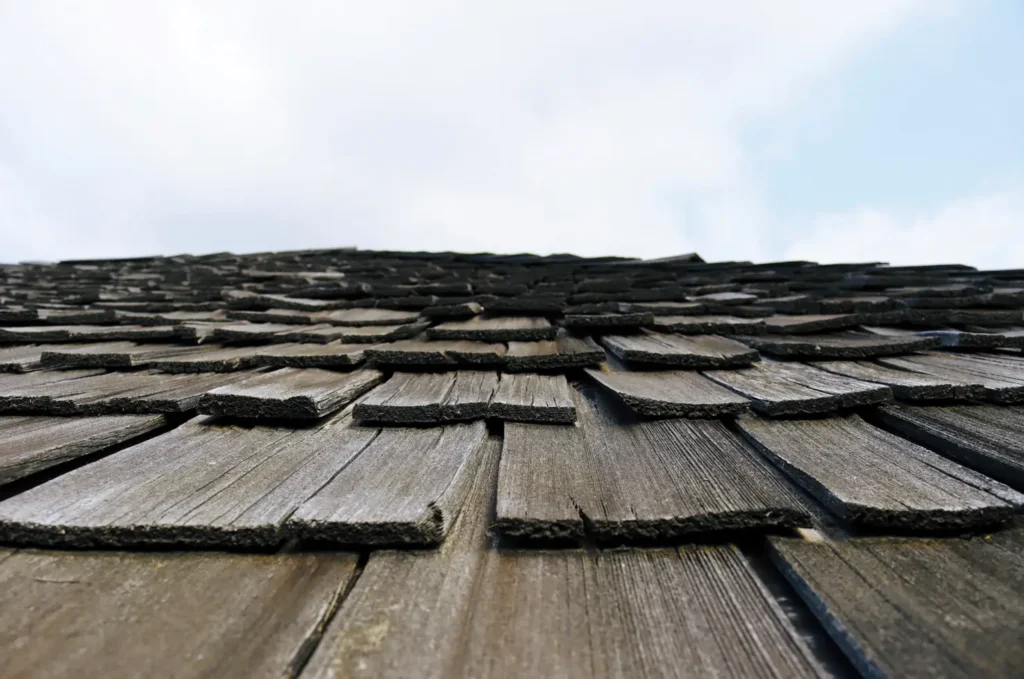 Roof Repair in Winter Garden, FL