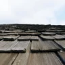 Roof Repair in Winter Garden, FL