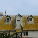 Roof Repair in Winter Garden, FL