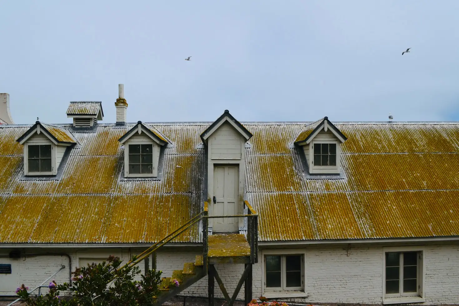 Roof Repair in Winter Garden, FL