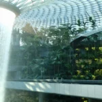 The Main Difference Between Hydroponics and Aquaponic Systems