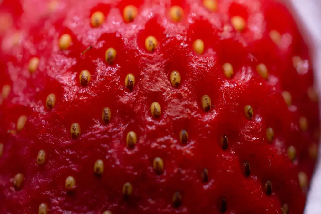 What Is a Hydroponic Strawberry