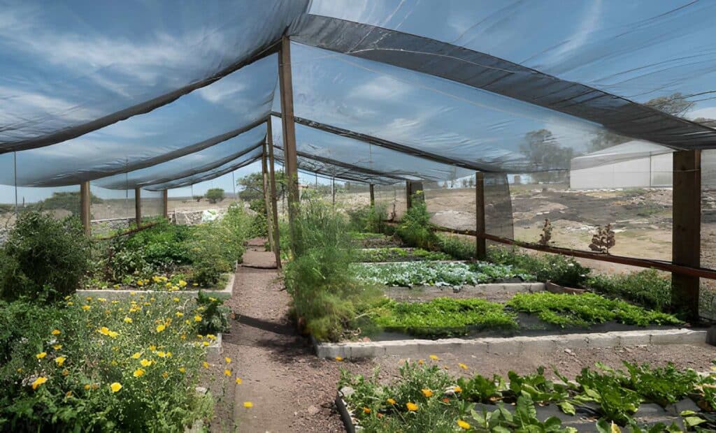 Shade-Tolerant-Vegetable-blog-banner